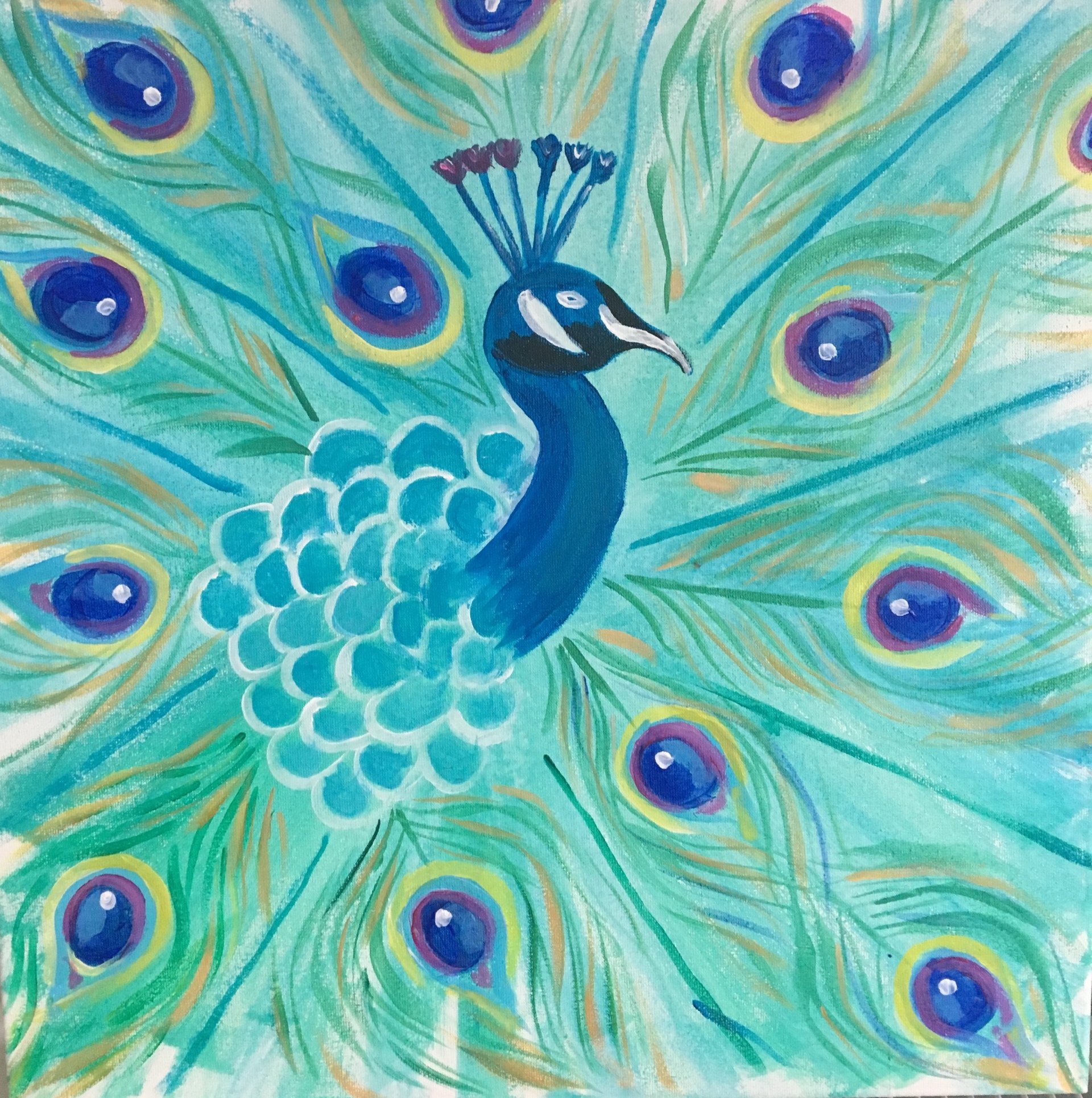 The Social Canvas UK