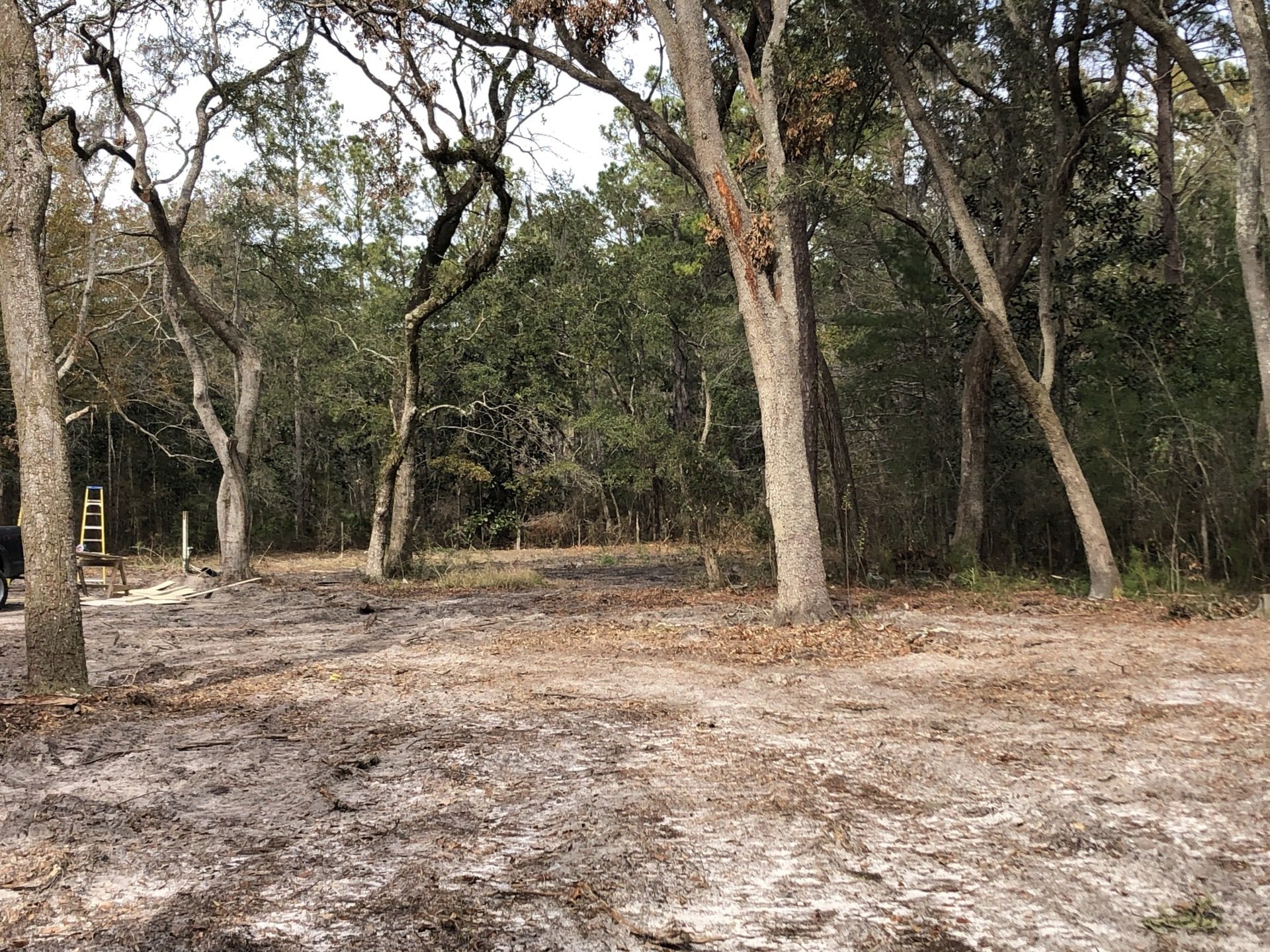 Deep South Land Clearing LLC Freeport FL