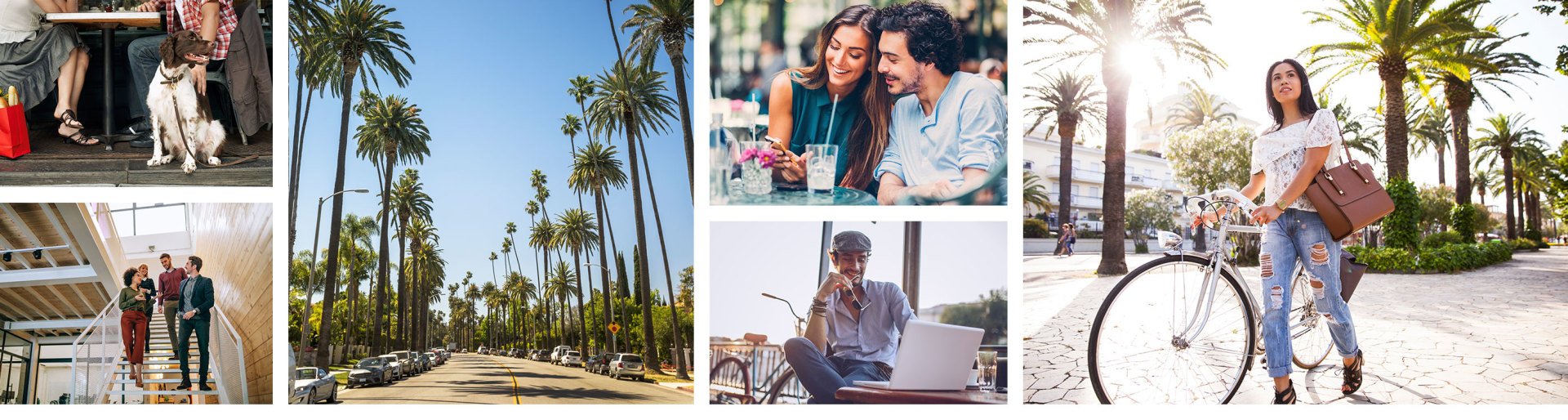 SRK Properties Neighborhoods Palms / Culver City