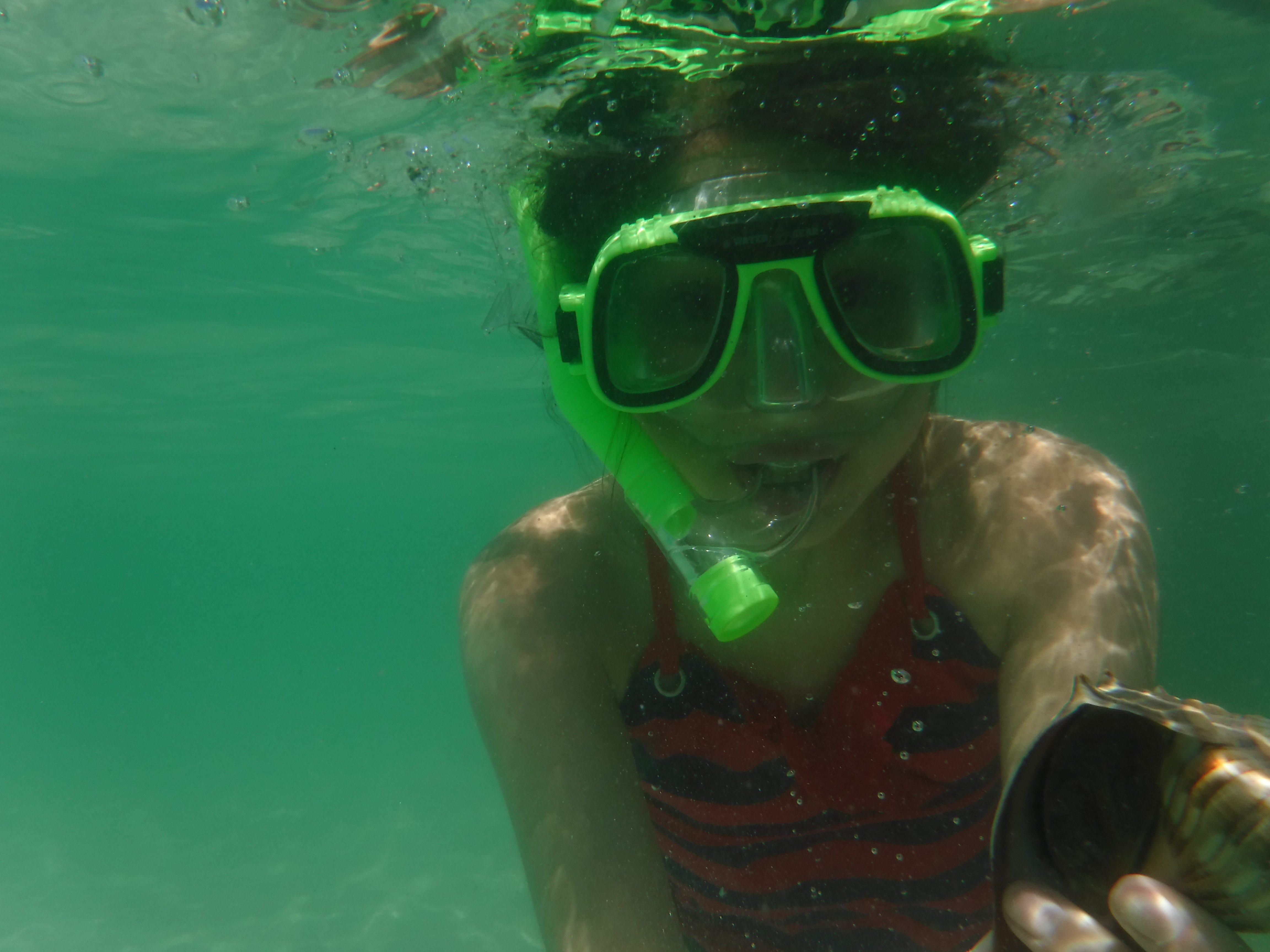 Egmont Key boat tours and Snorkeling