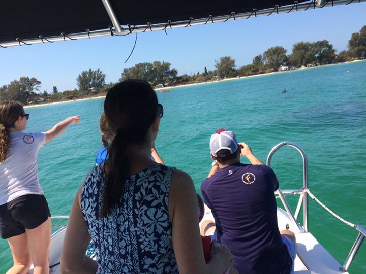 Anna Maria Island Dolphin Tours have the Fun Time your looking for.