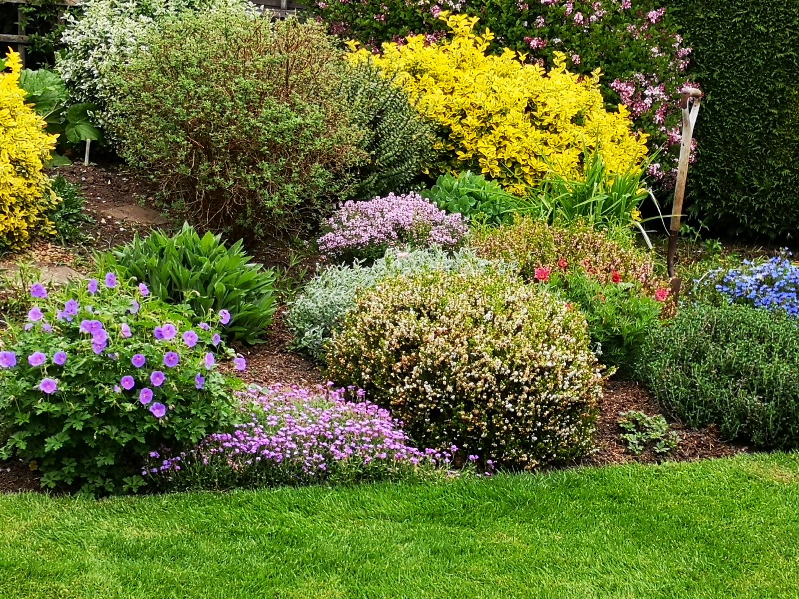 Garden Maintenance | Guildford Garden Services | Surrey