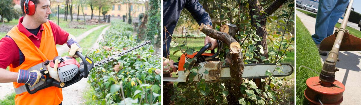 brush-cutter-chainsaw-whipper-snipper