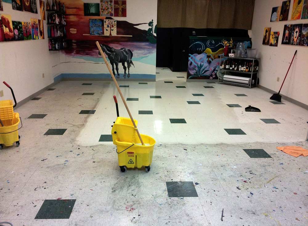 dunlops industrial and commercial cleaning strip polish home