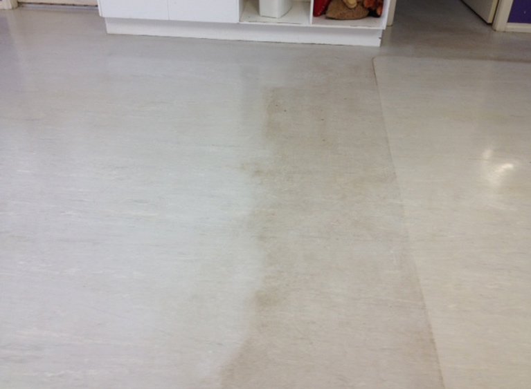 dunlops industrial and commercial cleaning stripping process