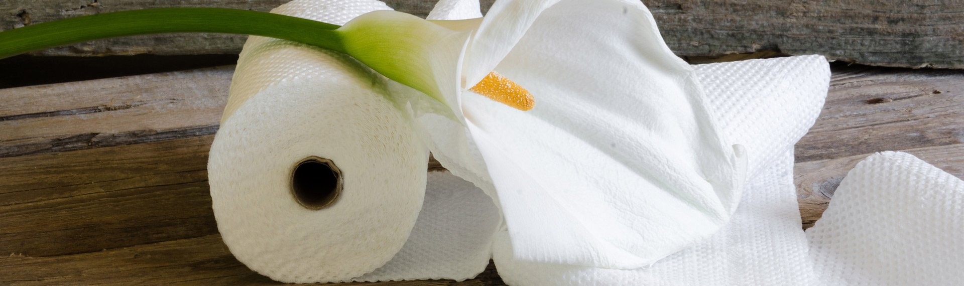 dunlops industrial and commercial cleaning toilet paper roll decorated on an old wooden board