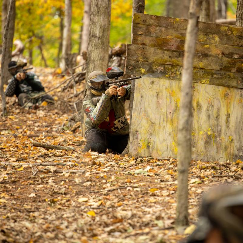 Sherwood Forest OSG Paintball