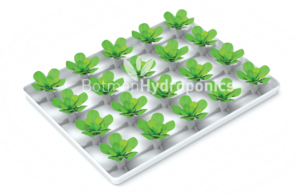 Hdpe Raft Growing Method | Botman Hydroponics