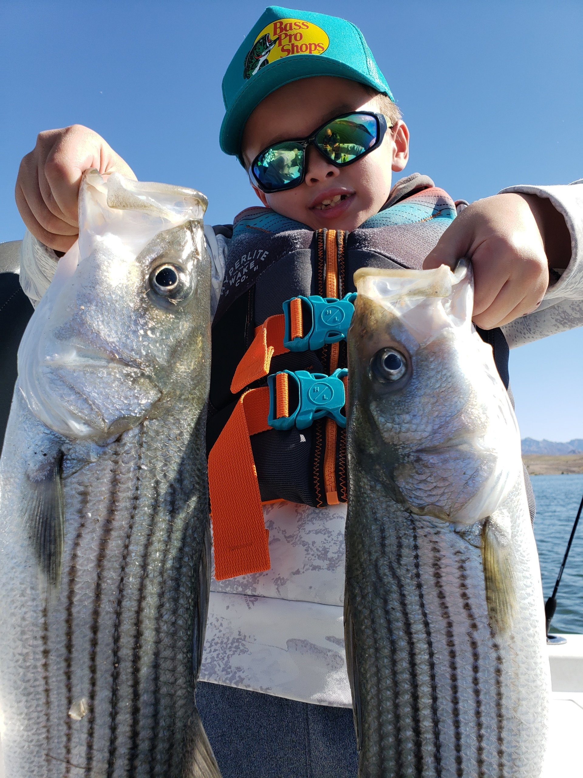 Lake Mead Fishing Guide Las Vegas Fishing Guides