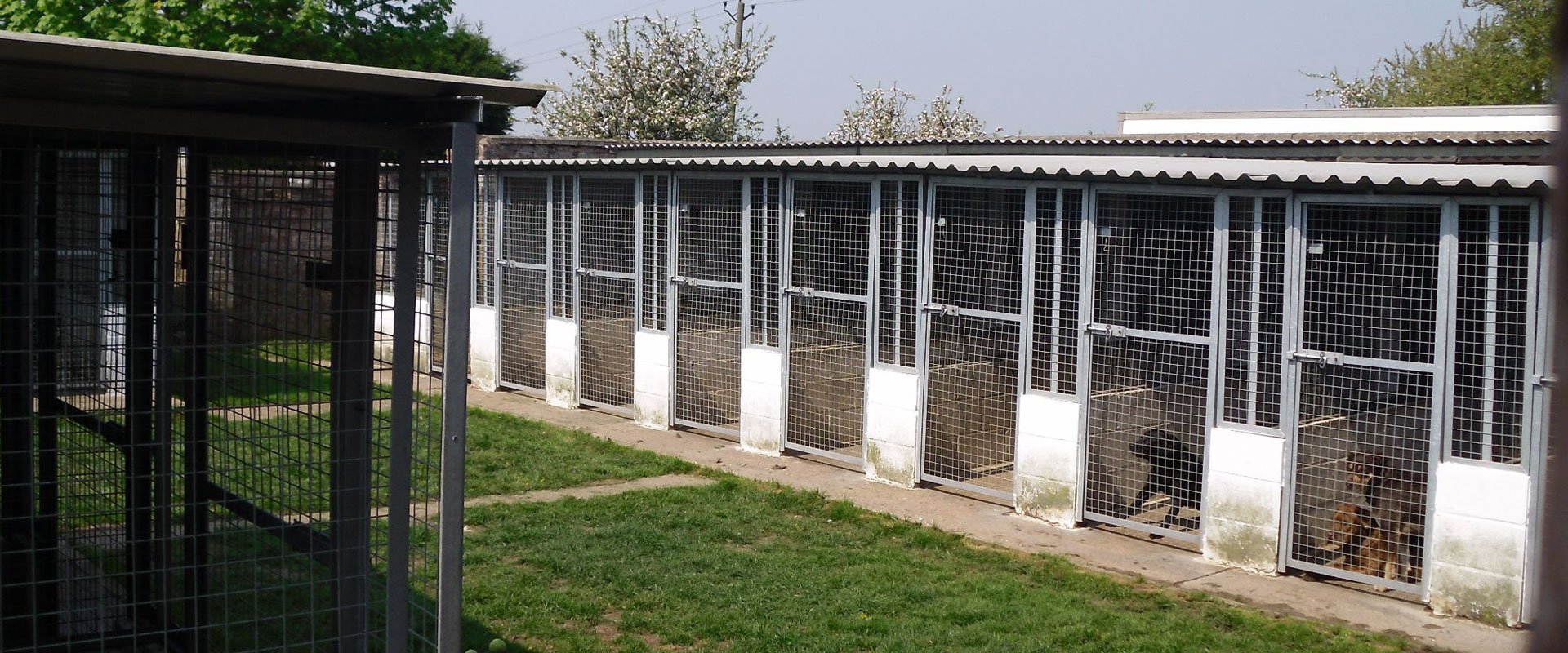 Pet kennels in Boston