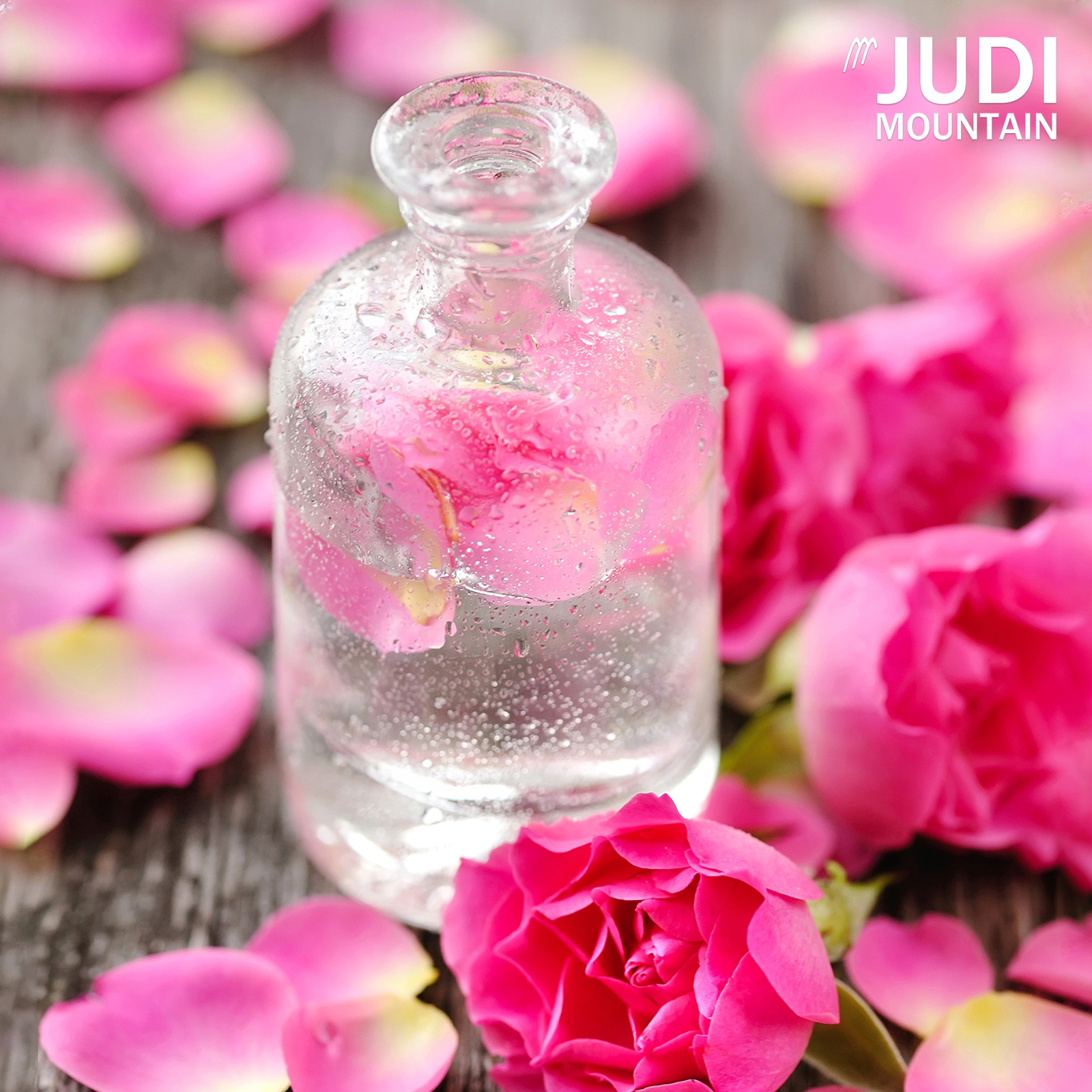 JUDI Mountain Premium Mediterranean Food & Beverages Brand