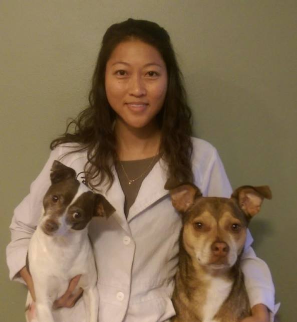 Veterinary doctor Honolulu, HI King Street Pet Hospital