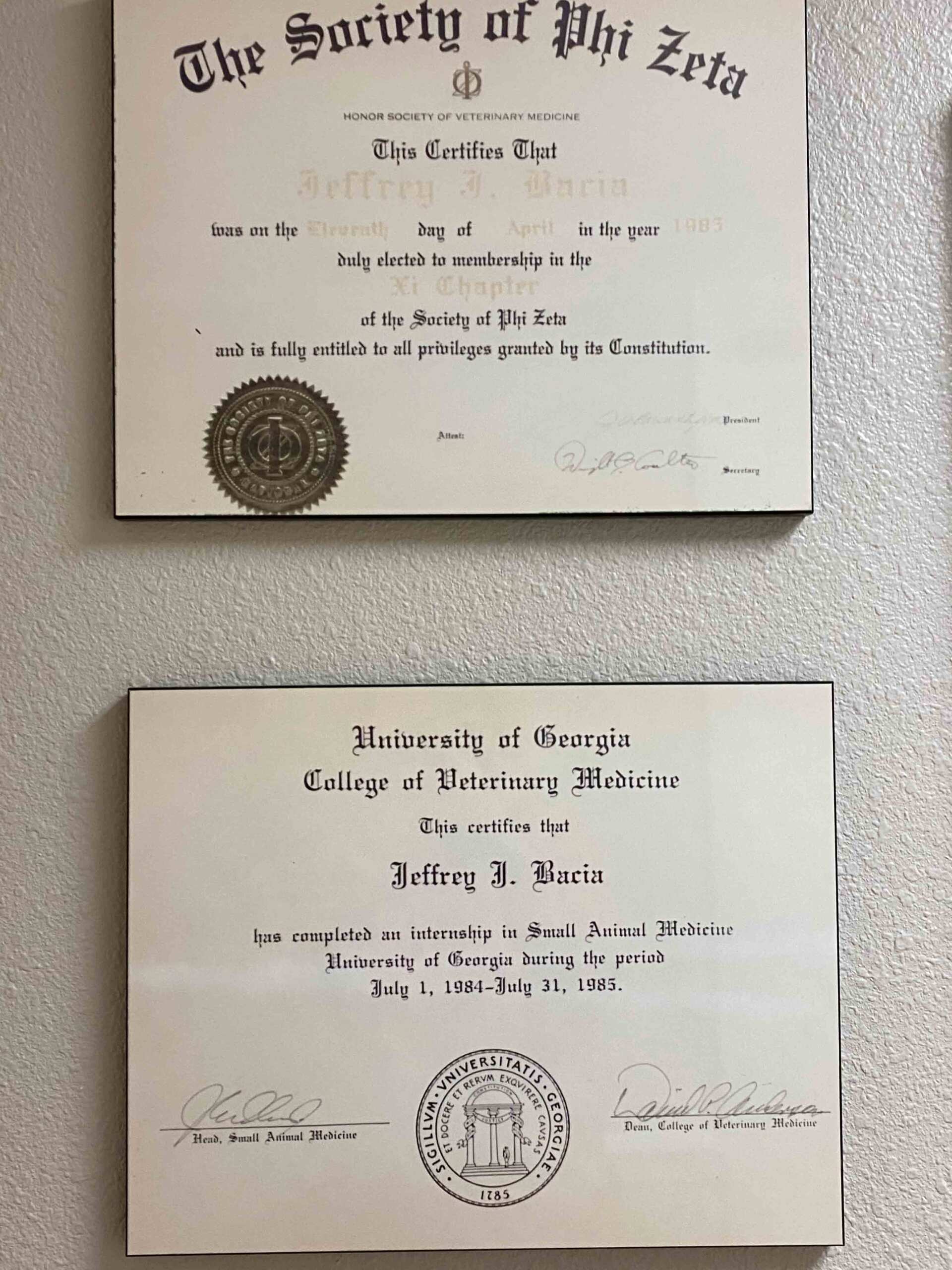 Orlando Dog, Cat Veterinarians Pet Emergency Care Orlando 32818