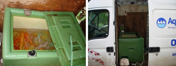 fish aquarium transport uk