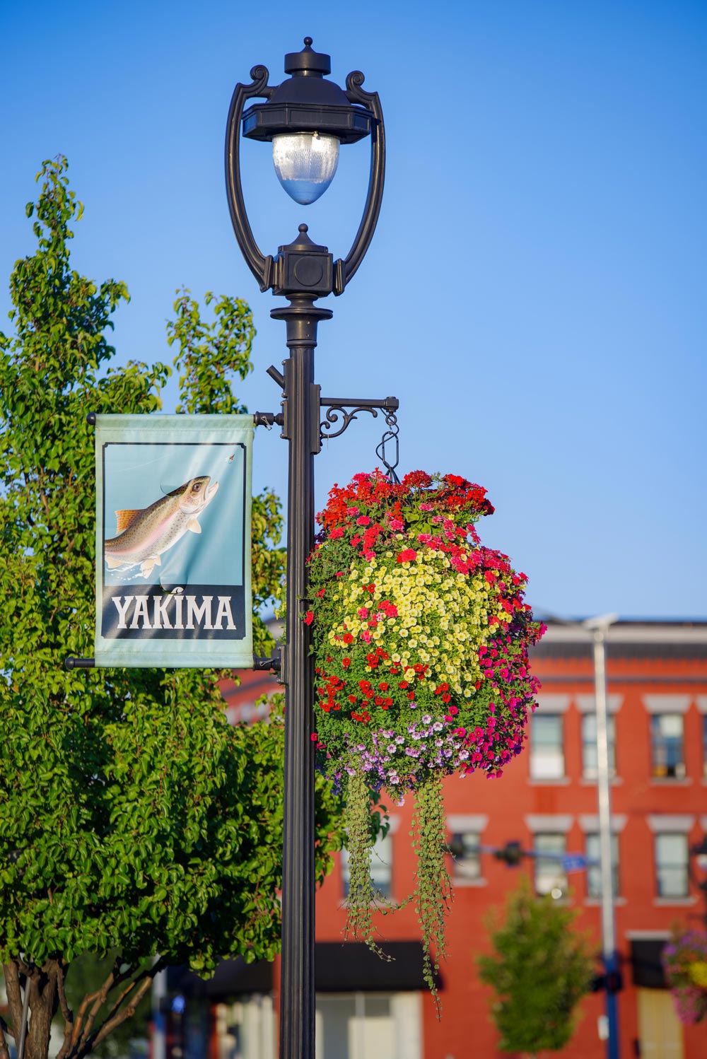 About Us Rentals and Property Management in Yakima Apple Ridge