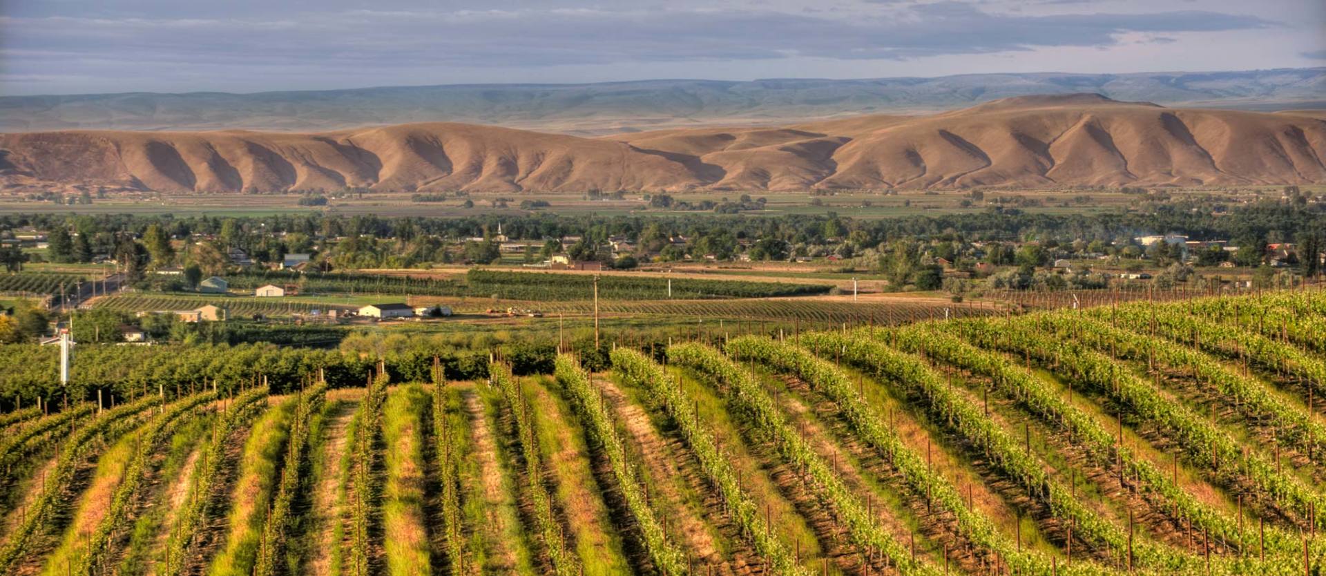 Cottonwood Grove Duplexes Duplexes for Rent in Yakima Apple Ridge