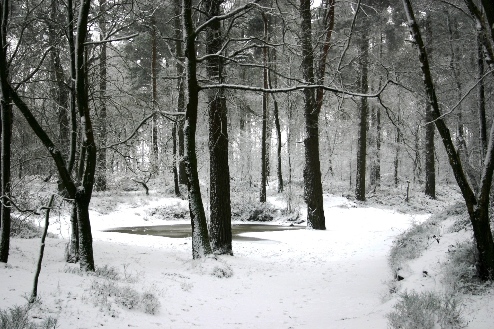 Millies Moments Woodlands Gallery Haslemere