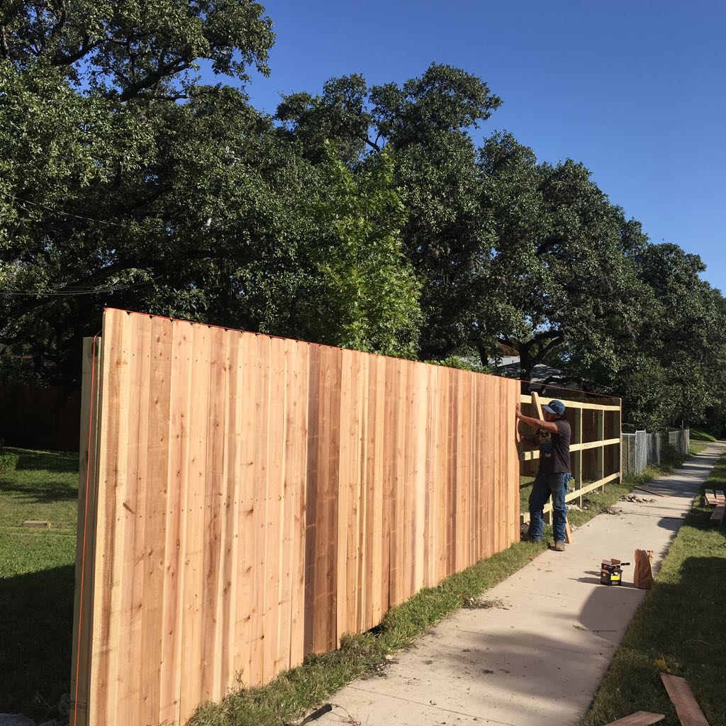 Freddy's Tree Trimming Is The Best In San Antonio, New Braunfels