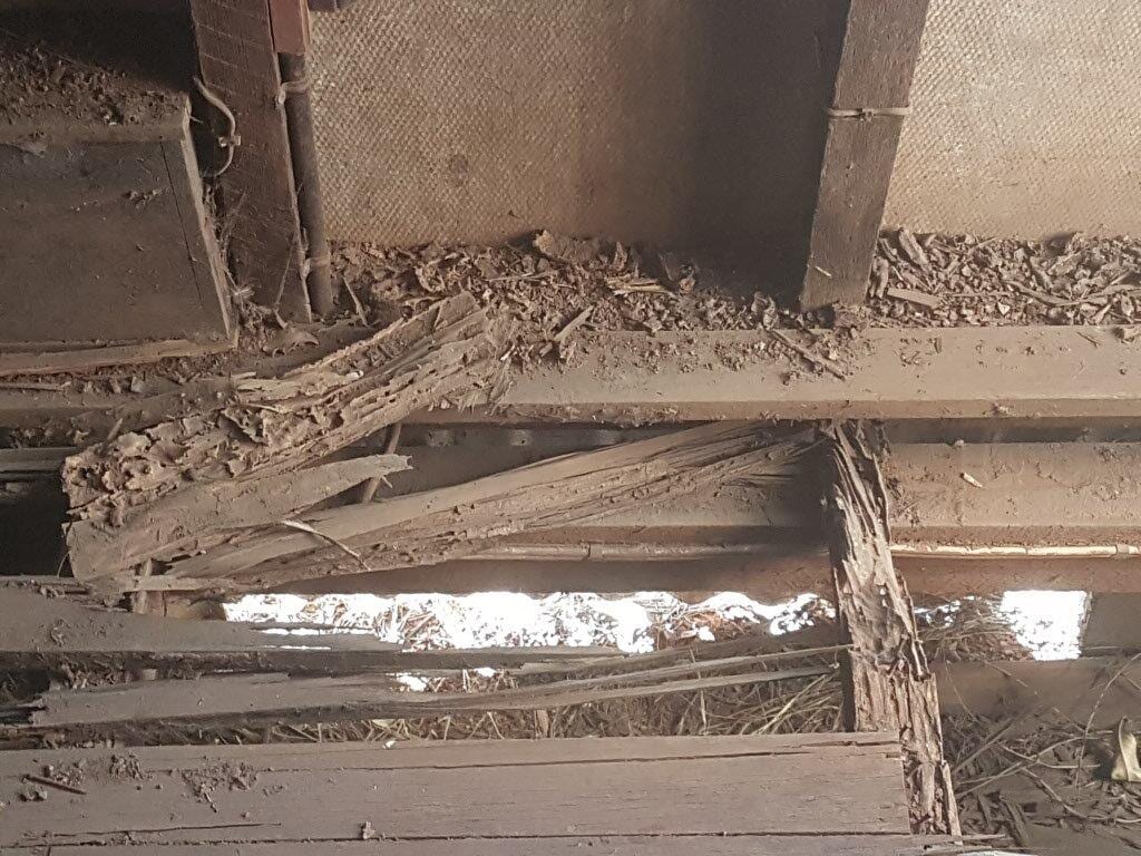 Building and Pest Inspection Toowoomba Keiran Mortimer