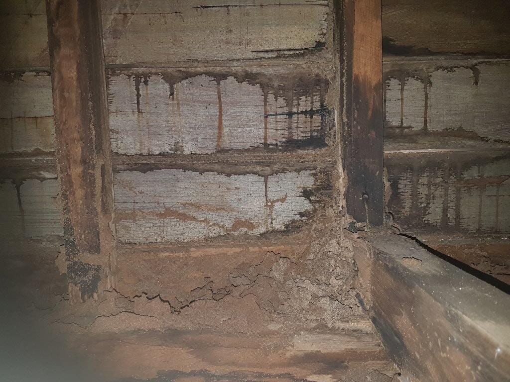 Building and Pest Inspection Toowoomba Keiran Mortimer