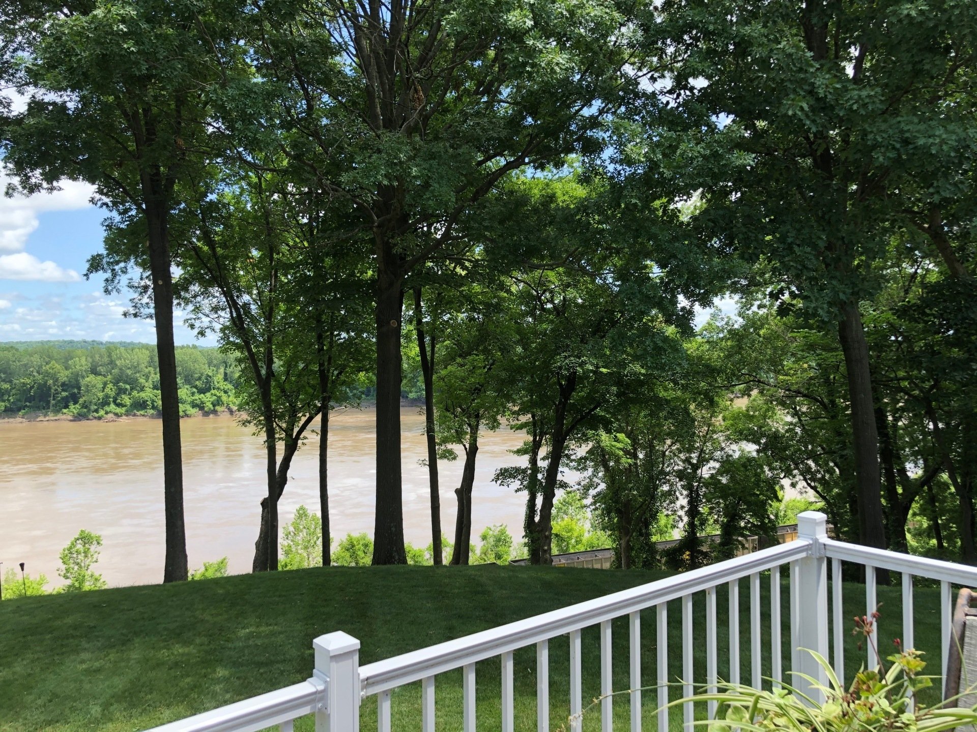 Gallery Korte Tree Columbia & Jefferson City, MO