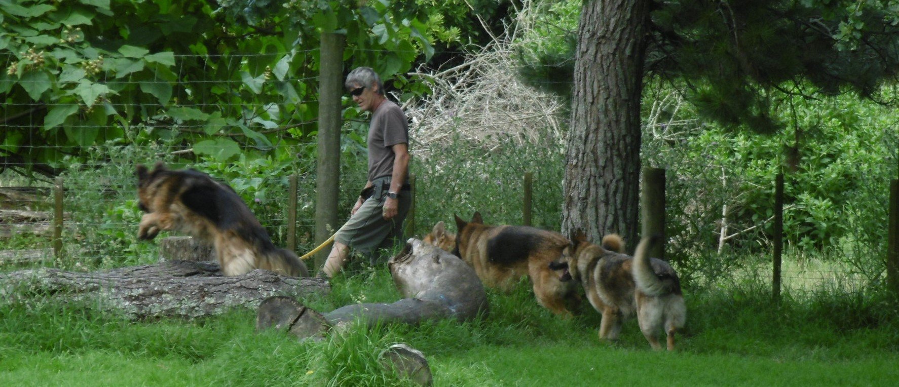 Kennel Waikato, NZ Brackendell Boarding Kennels & Cattery