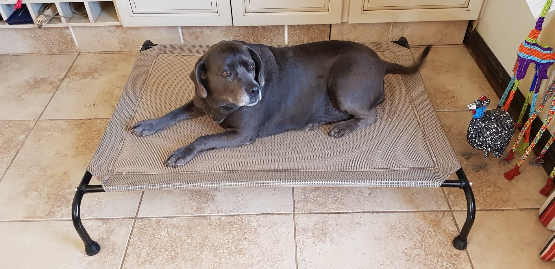 Products Hound Sleeper Sell Dog Beds