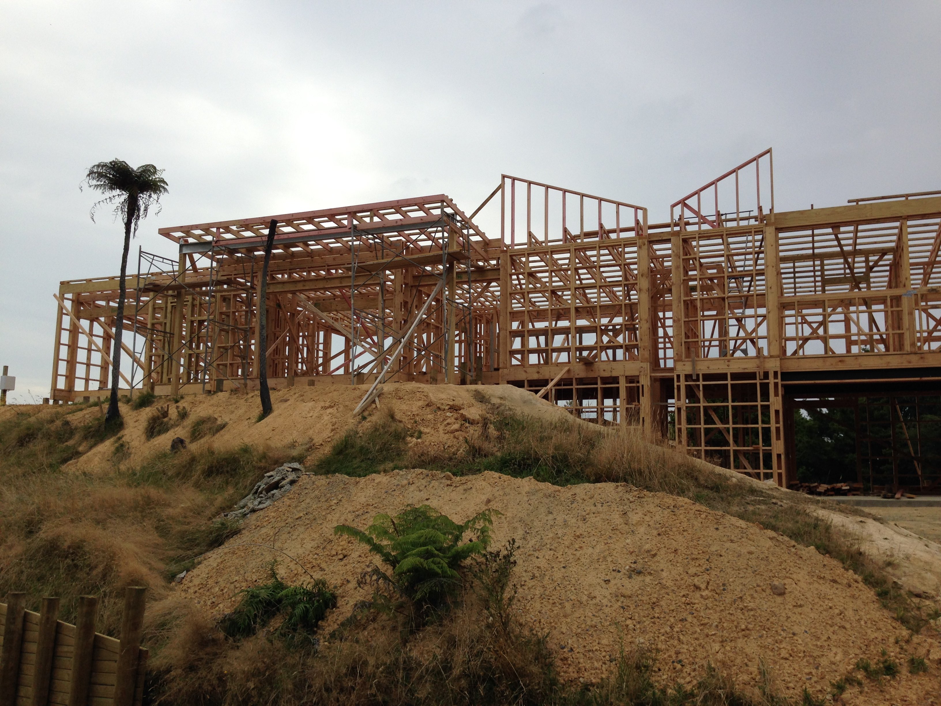 Building Architect showing the house plan