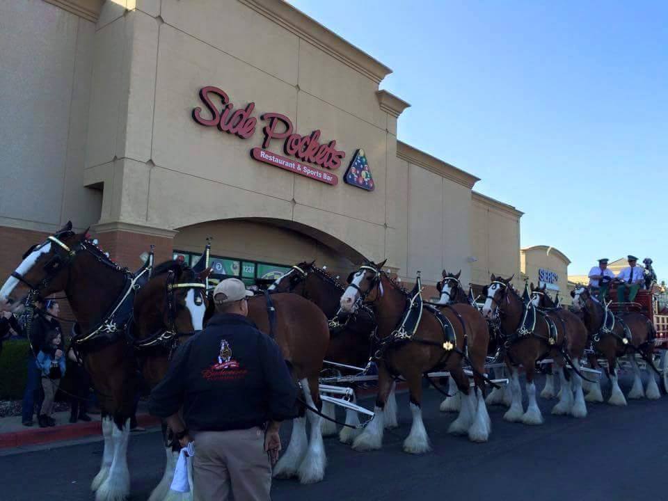 Side Pockets Franchise Locations