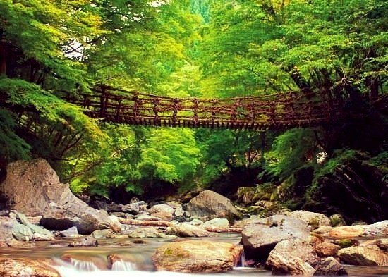 Oku-Iya Niju Kazurabashi