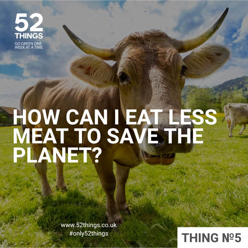 HOW CAN I EAT LESS MEAT TO SAVE THE
