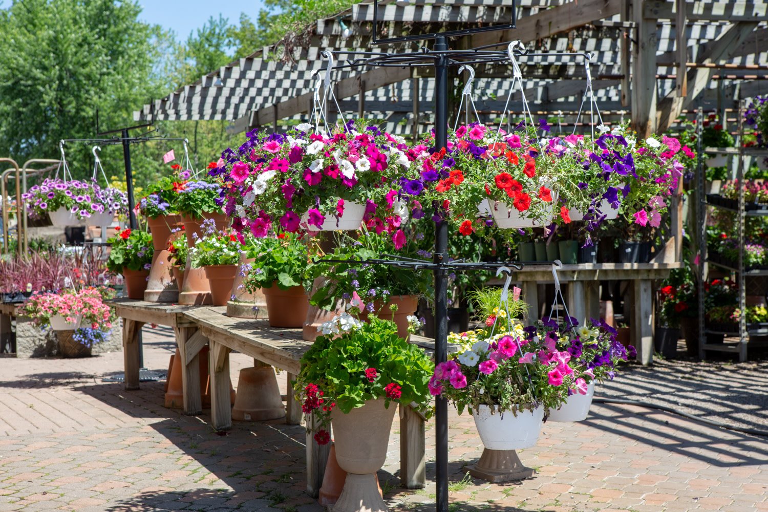 KBK Garden Center Saline, MI