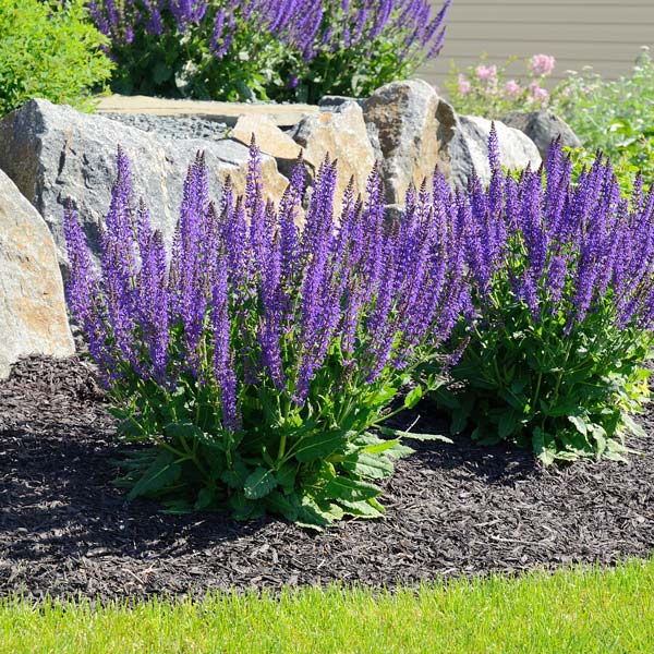 Landscaping Company Lewiston, ID Definitive Landscapes & Concrete, LLC