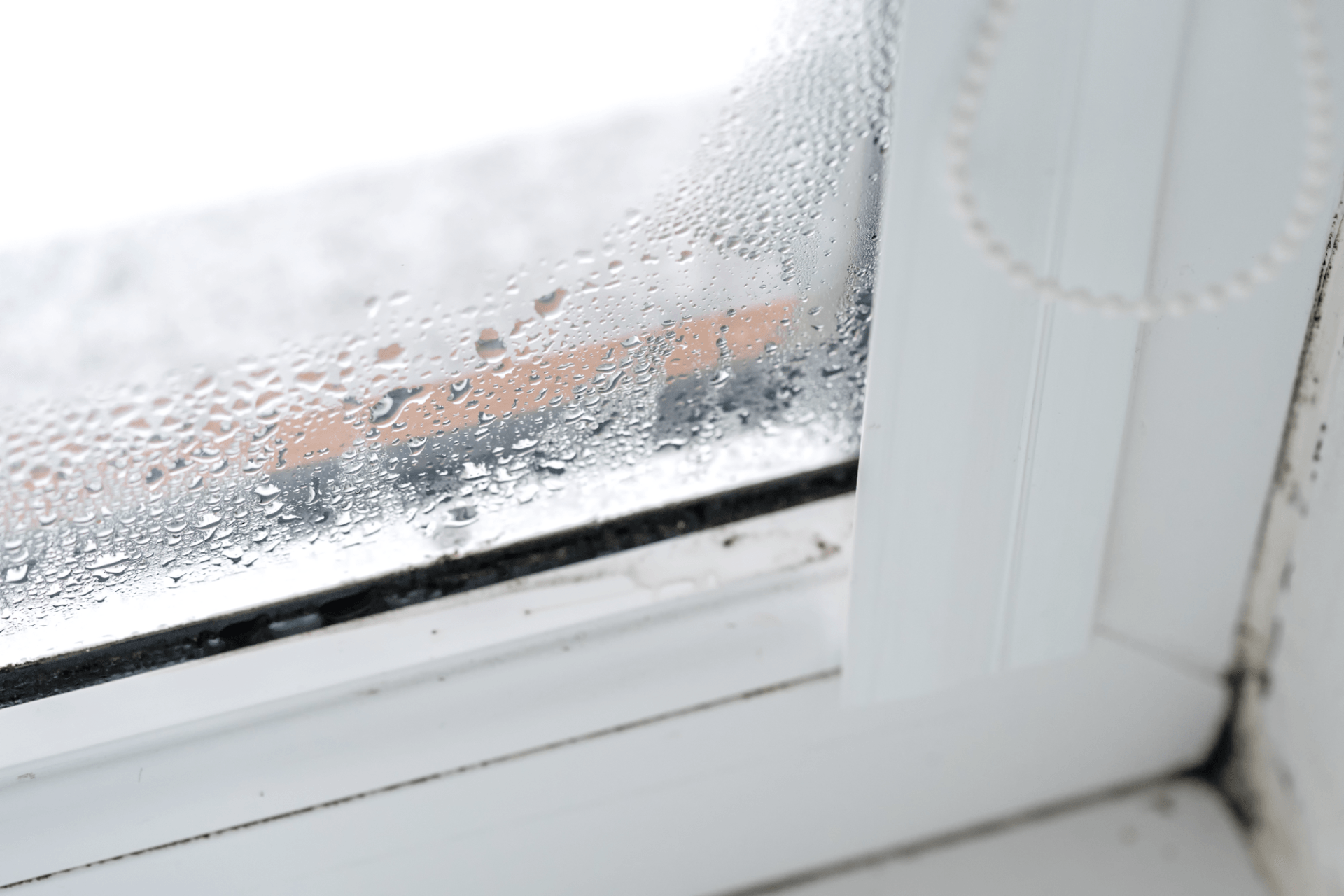 How To Prevent Mold Growth In A M Property