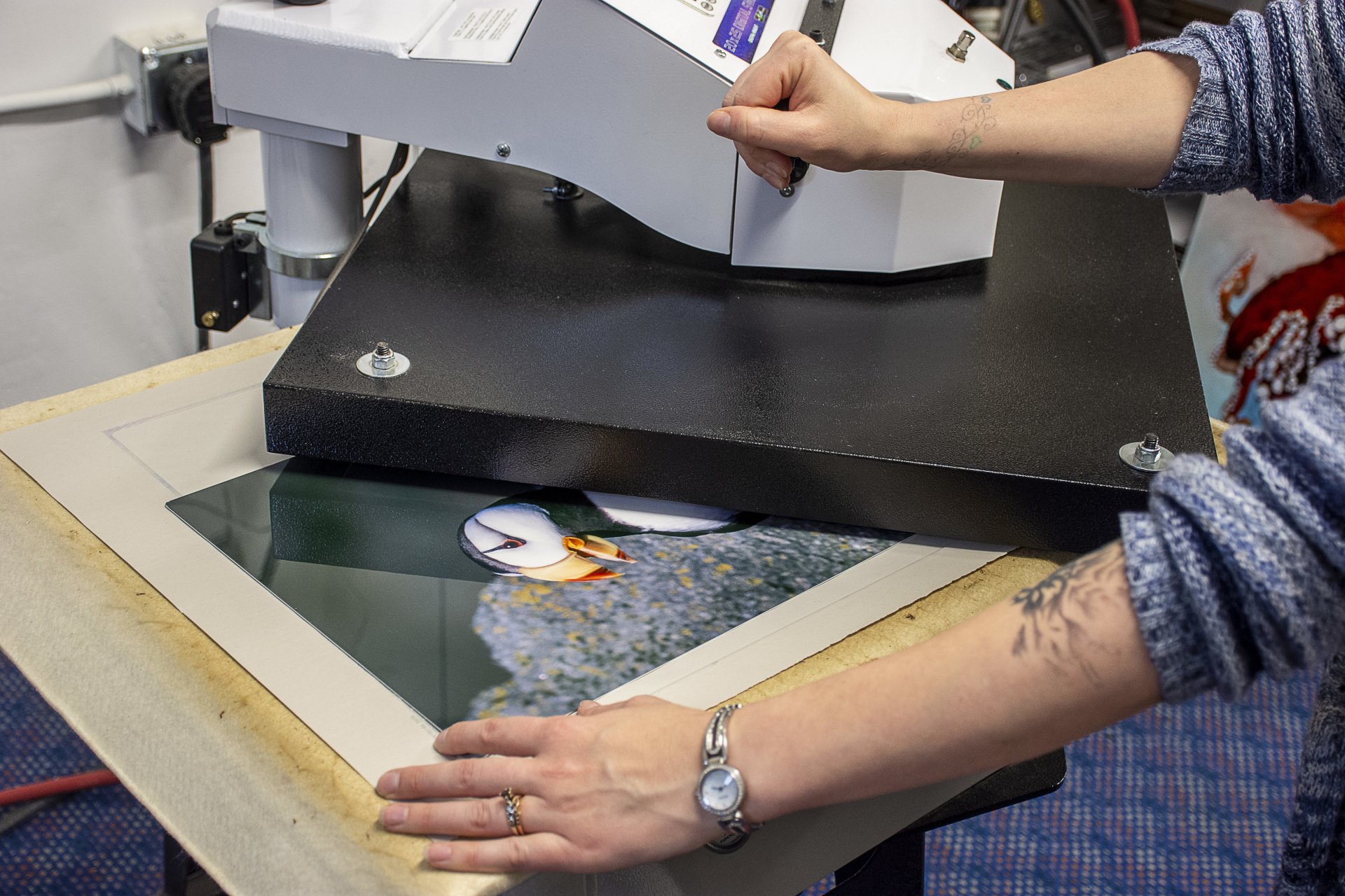 Picture Framing Anchorage, AK Denali Graphics & Frame