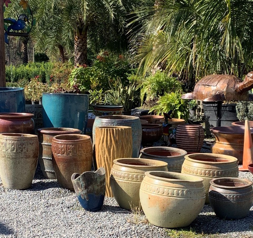 Beautiful Garden Accents Jacksonville FL Unique Plants and Palms