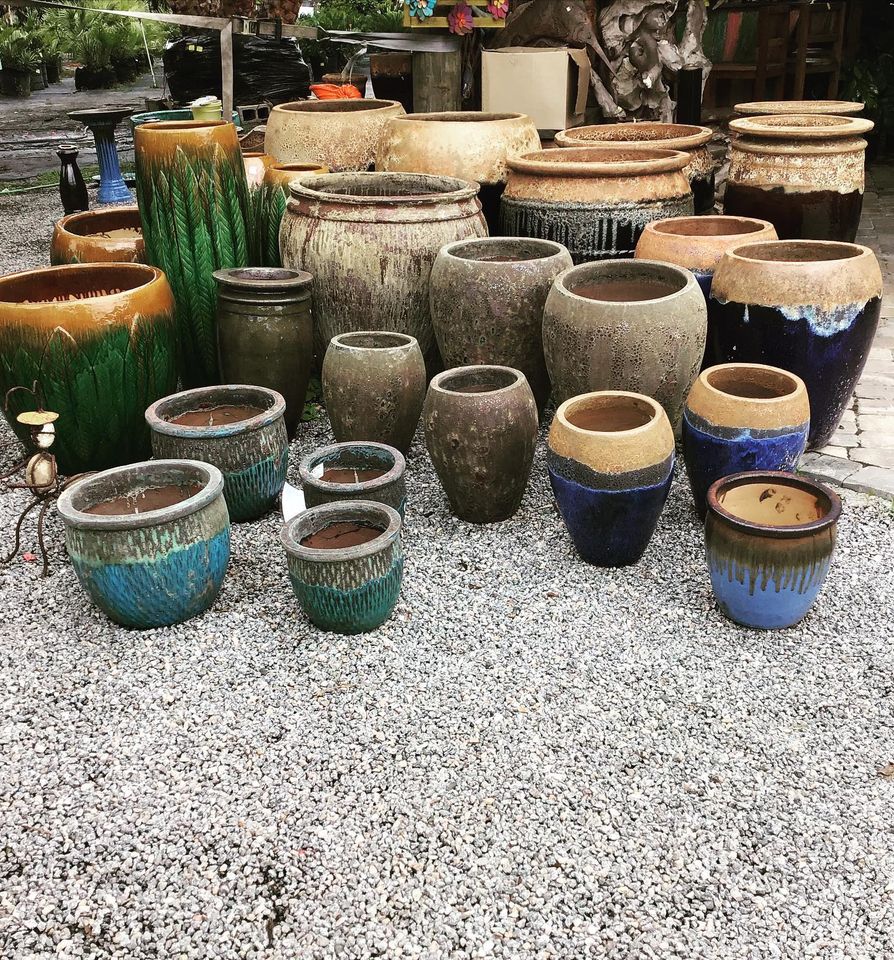 Beautiful Garden Accents Jacksonville FL Unique Plants and Palms