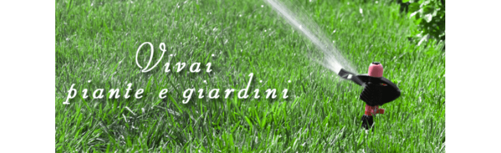 Progettazione giardini torre boldone bergamo luigi rizzi & figli Progettazione giardini bergamo
