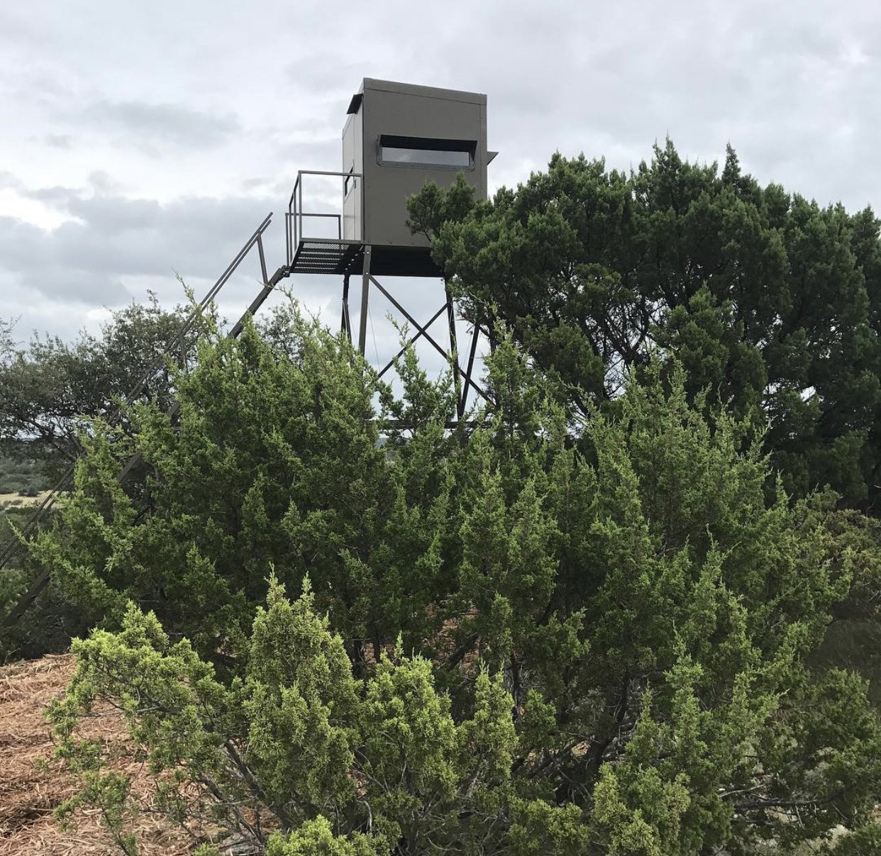 5x5 Deer Blinds for Sale Elevated Deer Blinds Texas Wildlife Supply