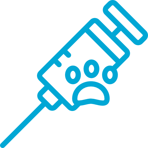 Veterinários Carcavelos 