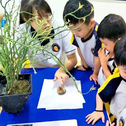 They are taught the values and responsibilities needed to become active members of the community, something which the modern world is desperate for.