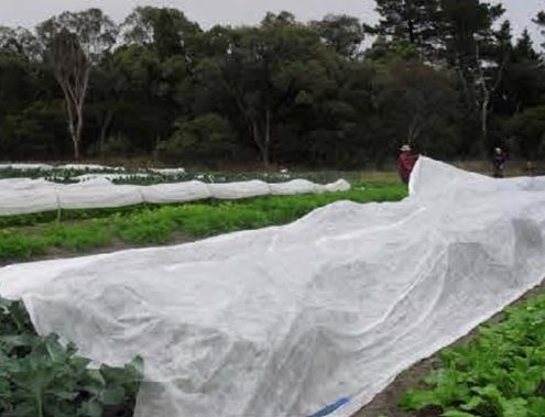Frost Netting