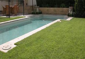 empure zoysia slower growing