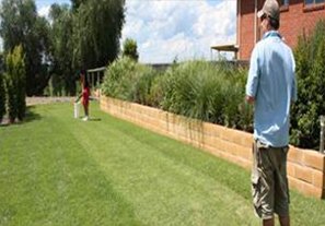 empure zoysia grass field recovery