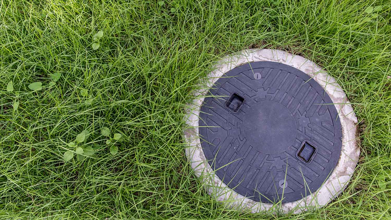 A manhole cover is sitting in the middle of a lush green field.