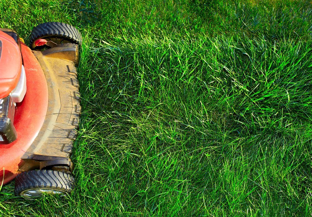 A red lawn mower is cutting a lush green lawn.