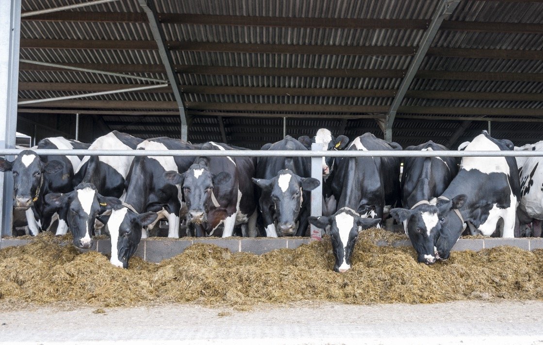 Central Ohio Soy DAIRY