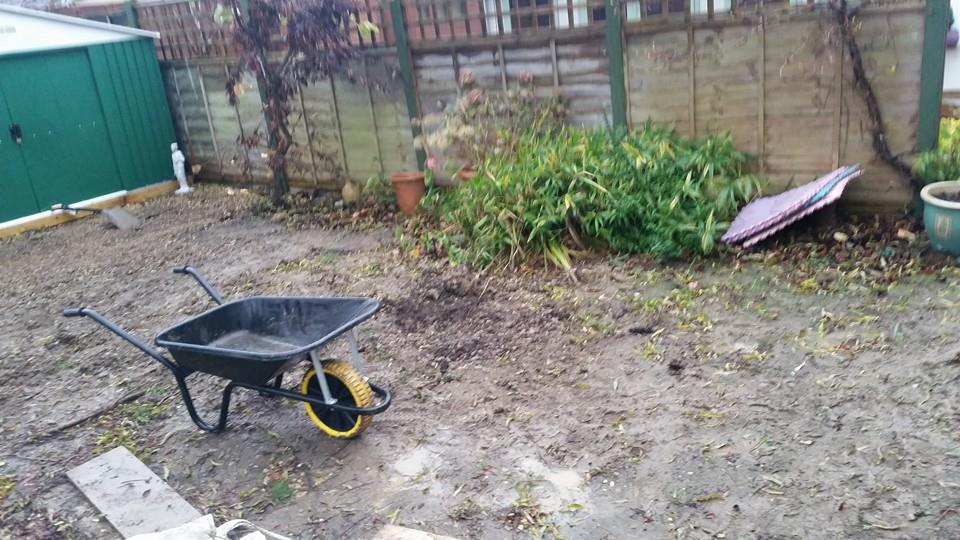 property maintenance