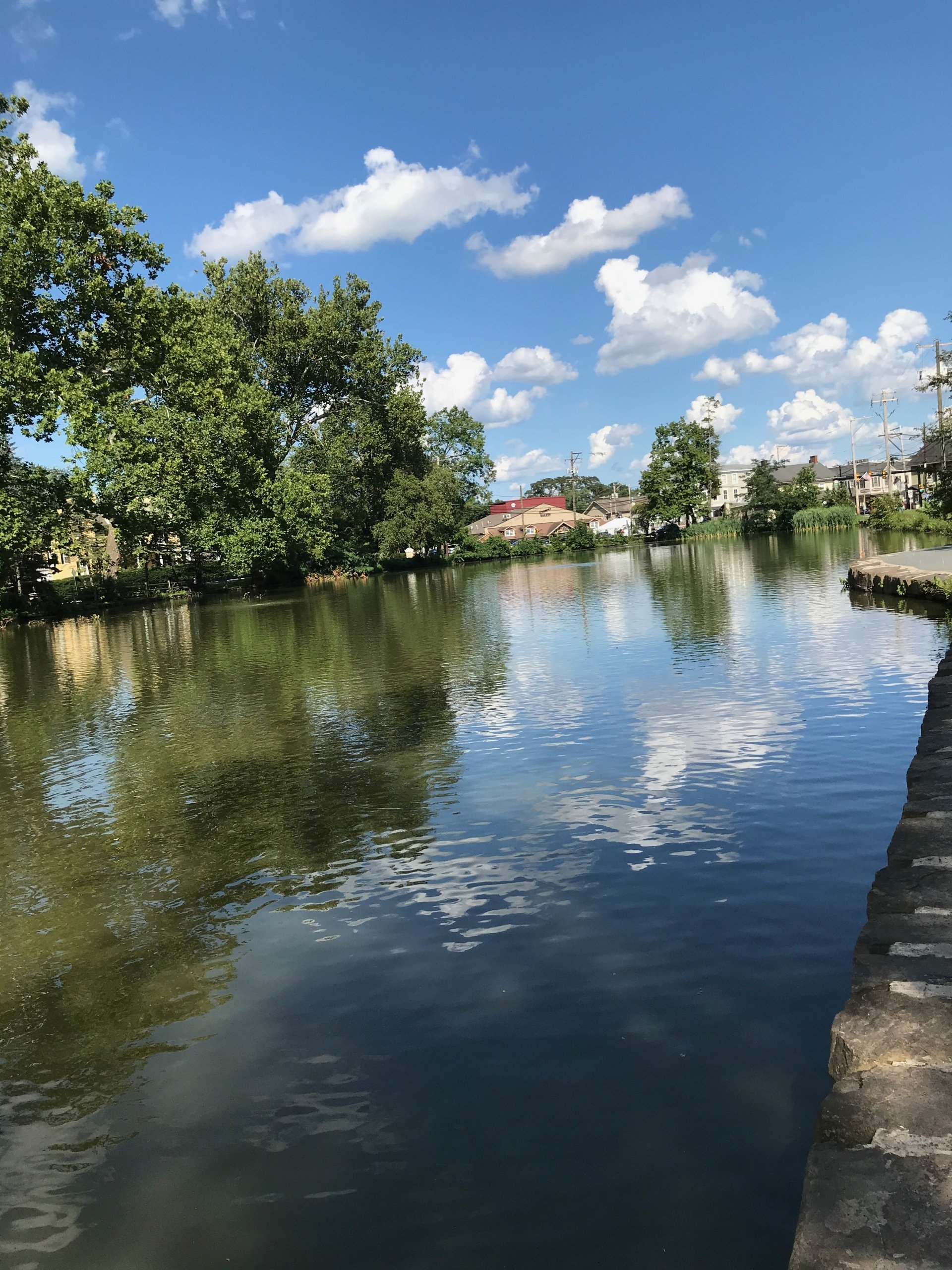 How Do We Keep Algae Out Of Lake Afton?
