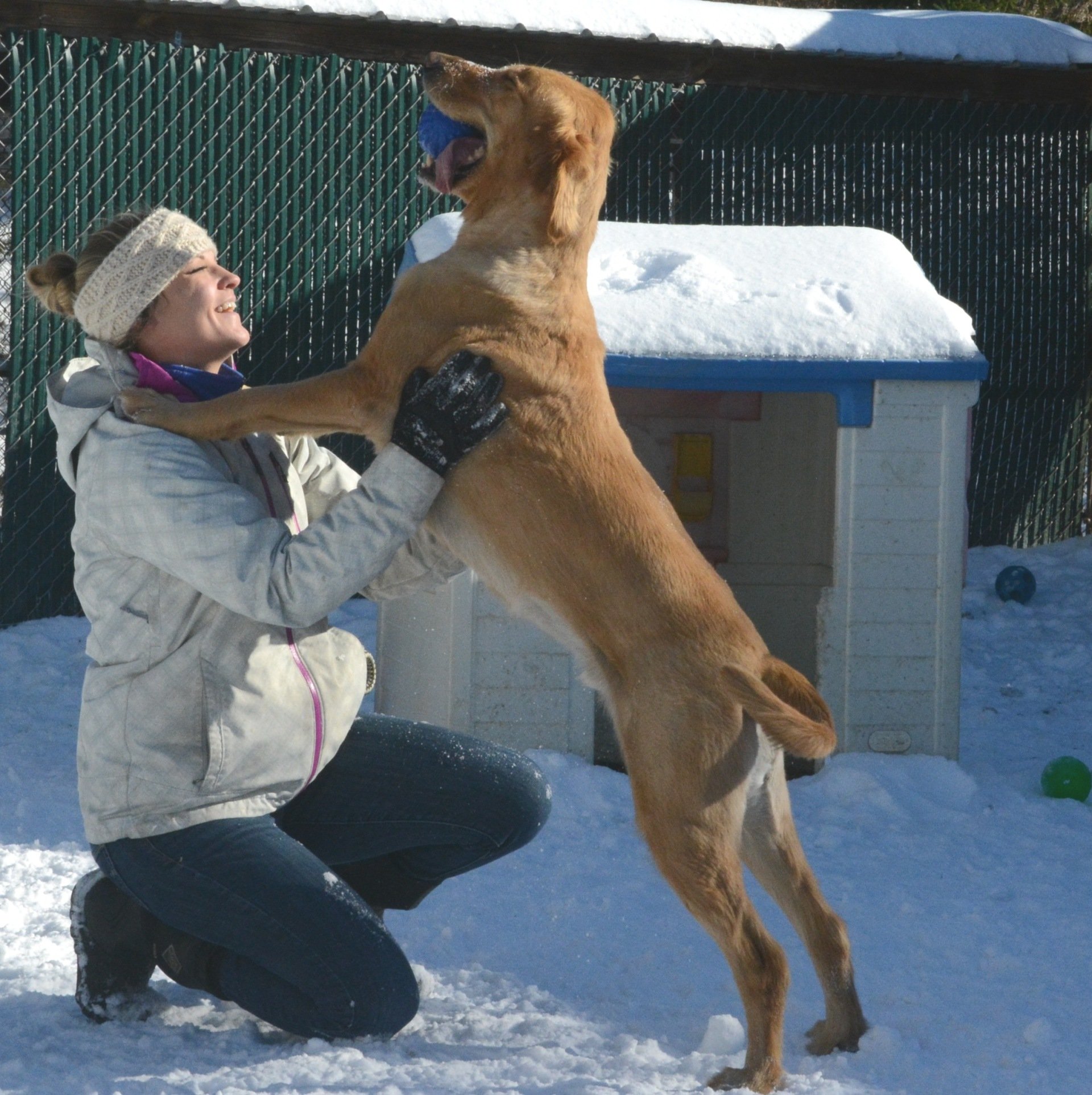About Us Eagle Ridge Kennel Pet Grooming & More Buffalo, NY